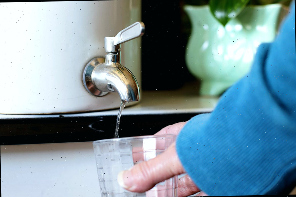 Água escorrendo da torneira do dispensador de bebidas que agora está sendo usado como vaso. Permite que a água drene para evitar que as raízes se deterioram.
