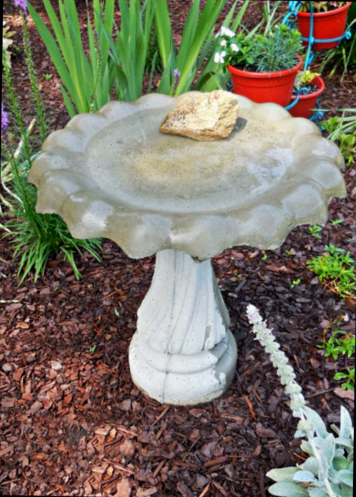 Um bebedouro de pássaros limpo com bicarbonato de sódio ao sol, ao lado de algumas plantas do jardim.