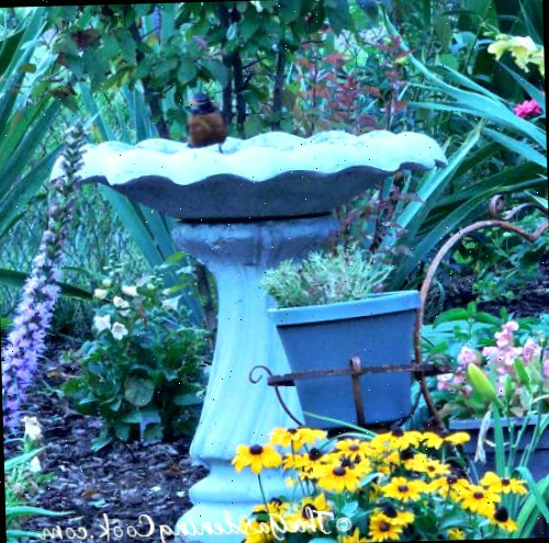 Aves se empoleirando em um bebedouro em um jardim repleto de flores.