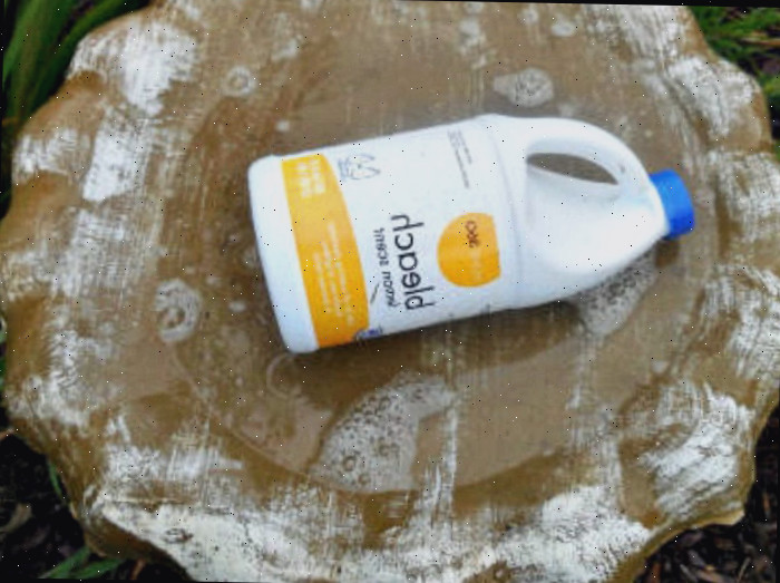 Frasco de alvejante em um bebedouro de aves higienizado Uma imagem em close de um bebedouro de pedra preenchido até a metade com agua, contendo um frasco de alvejante doméstico, que será utilizado como limpador do bebedouro de aves.