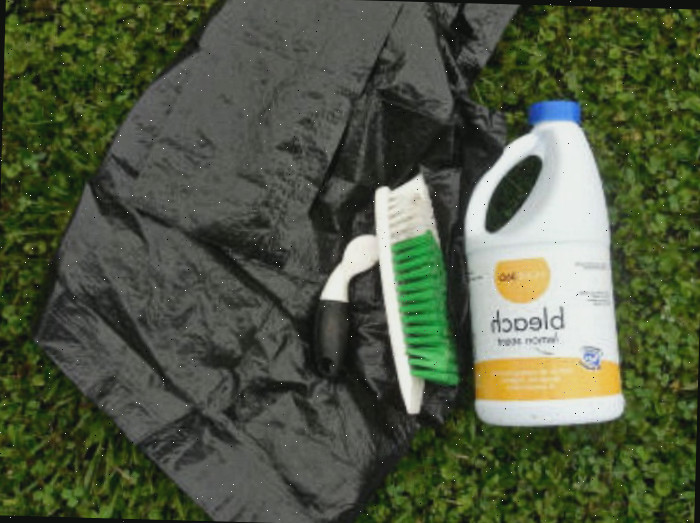 escova de esfregar com água sanitária e um saco de lixo preto Uma coleção de itens necessários para higienizar um bebedouro de pássaros, incluindo um saco de lixo preto de 40 galões, uma escova rígida de esfregar e água sanitária em um gramado. Esses materiais podem ser utilizados para limpar todos os tipos de bebedouros de pássaros, incluindo os de concreto, cimento e pedra.