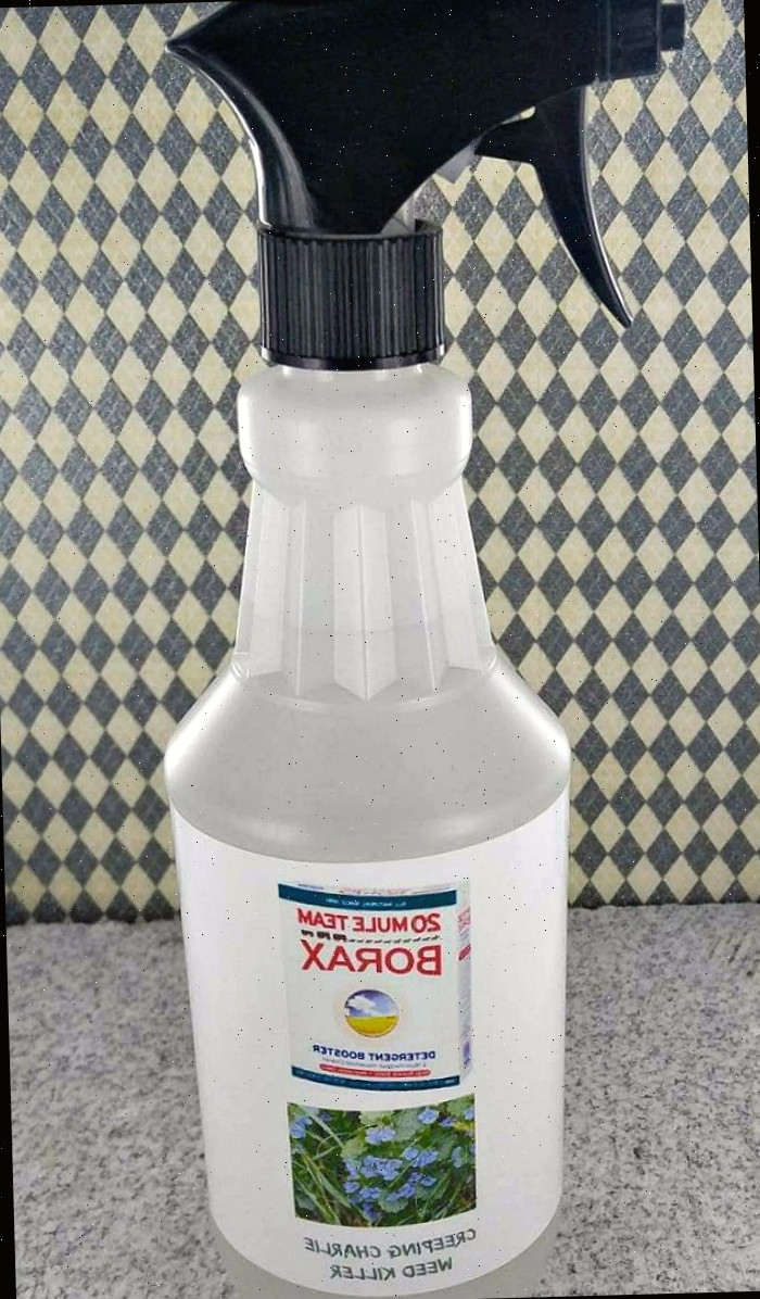 Frasco de herbicida contendo borato