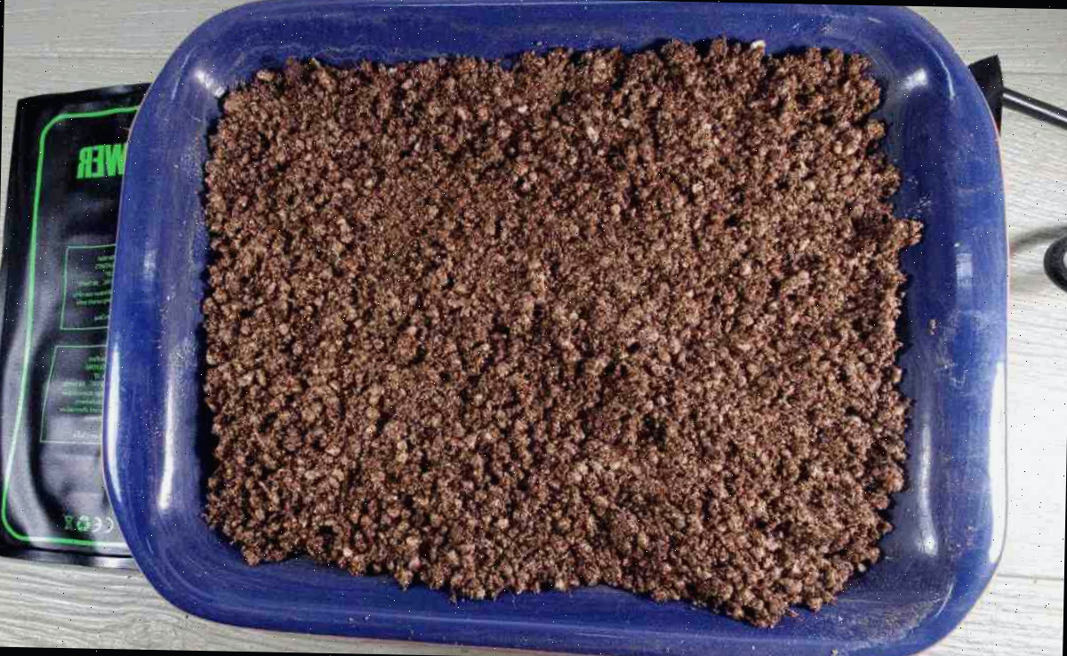 Um recipiente contendo substrato para iniciar sementes sobre uma manta térmica que oferece calor por baixo.