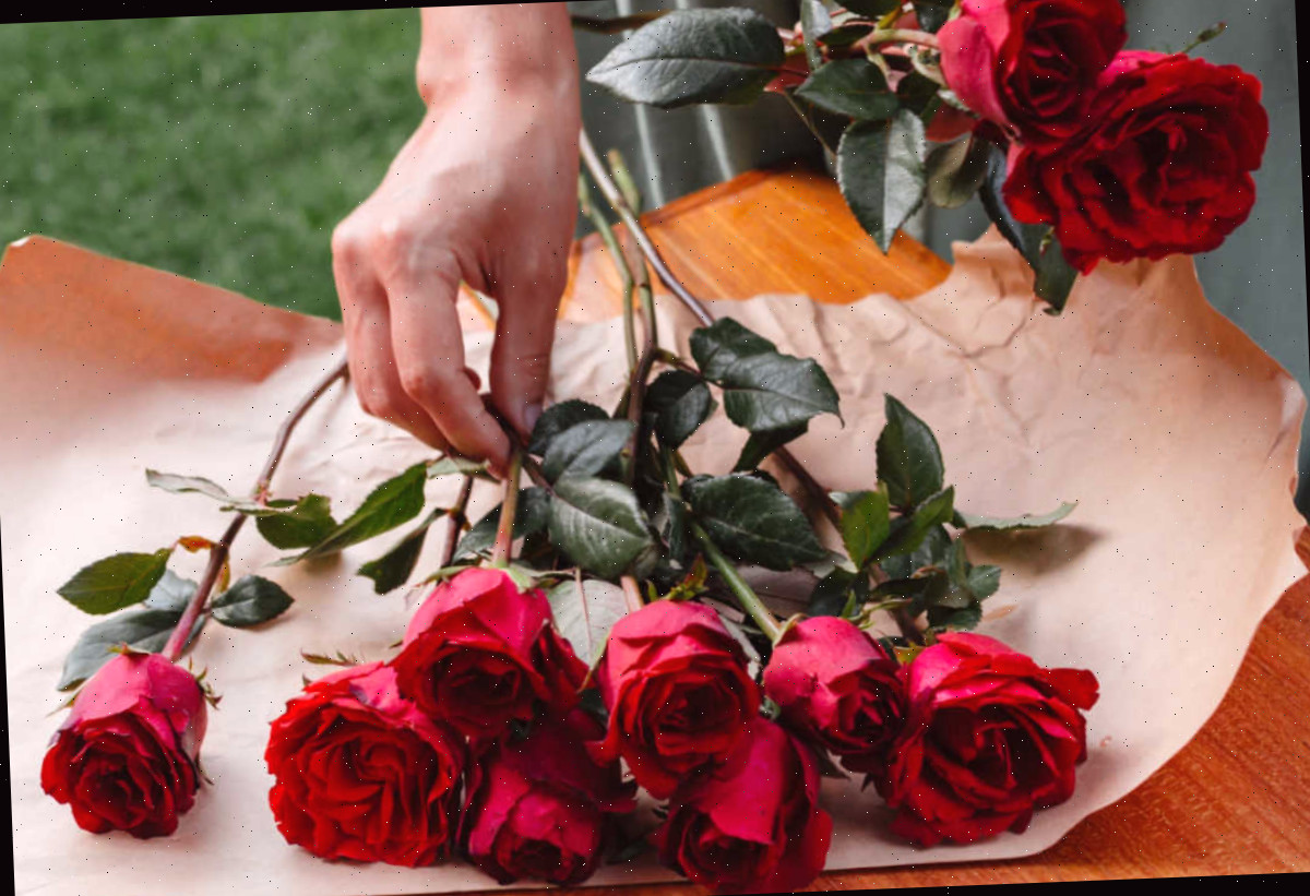 Mãos montando um buquê de dez rosas vermelhas para expressar que você é perfeito(a).