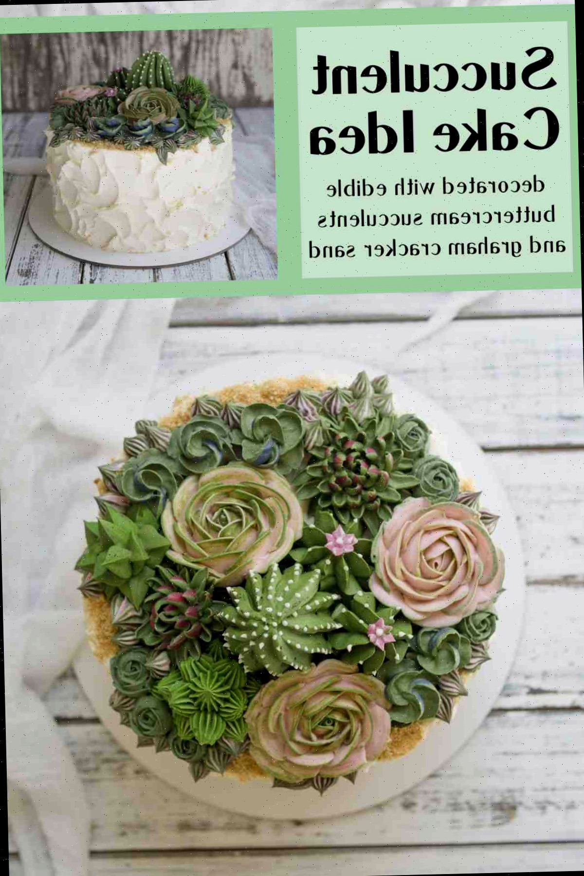 12 ideias de bolo com suculentas Um bolo com suculentas de buttercream com vista superior na parte inferior da imagem, uma vista lateral no canto superior direito da imagem e uma sobreposição de texto no canto superior esquerdo da imagem dizendo ideias de bolo com suculentas decorado com suculentas comestíveis de buttercream e areia de biscoito Graham.