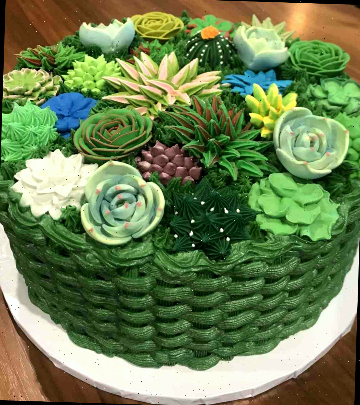 Um bolo com suculentas de buttercream, pasta de goma e fondant. Um bolo com suculentas decorado para se assemelhar a uma cesta verde trançada, contendo diversas suculentas, incluindo várias variedades de echeveria como suculentas de creme de manteiga, pasta de goma e fondant.