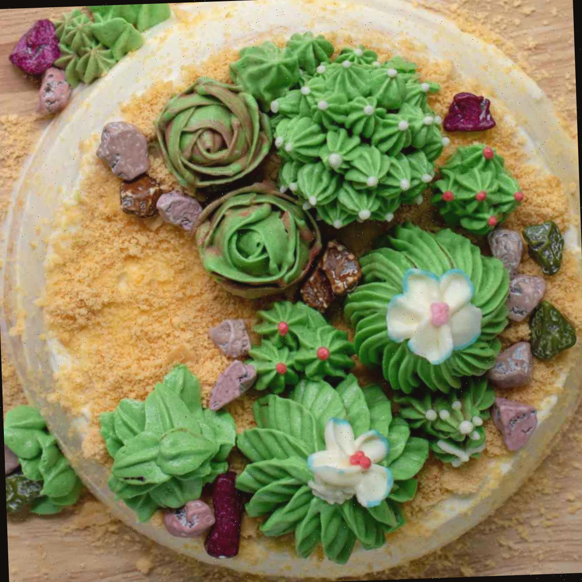 Um bolo com suculentas de buttercream Um bolo de cacto com creme de manteiga e areia de biscoito Graham no topo do bolo, junto com vários tipos de cactos de creme de manteiga e pedras de chocolate.
