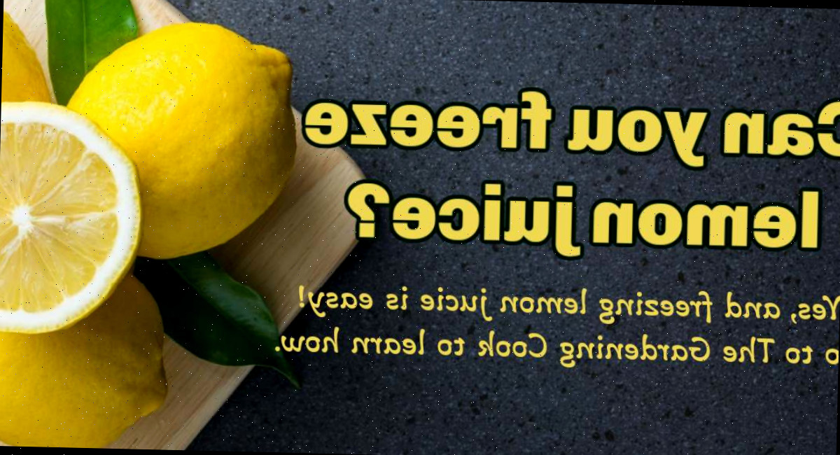 Três limões inteiros, folhas de limão e um limão cortado ao meio em uma tábua de madeira do lado direito da imagem, com uma sobreposição de texto amarela dizendo você pode congelar suco de limão? Sim, e congelar suco de limão é fácil - vá para o The Gardening Cook para aprender como.
