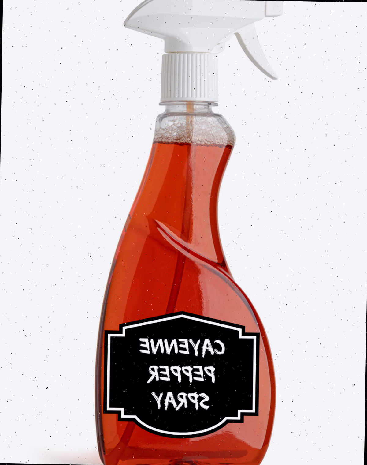 Spray de pimenta-caiena em uma garrafa transparente, utilizado para afastar os esquilos.