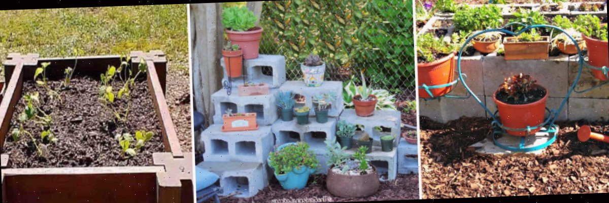 Mais projetos de blocos de cimento, incluindo um jardim de flores de blocos de concreto, uma exibição de suculentas ao ar livre feita de blocos de concreto e uma cama de jardinagem elevada de blocos de concreto e tábuas de madeira.