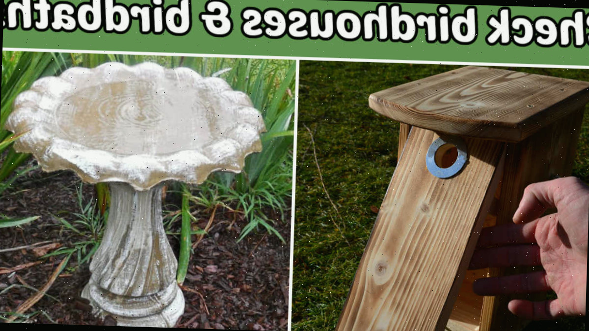 Casinha de pássaros danificada ao lado de um bebedouro de pássaros recém-limpo em um jardim primaveril.