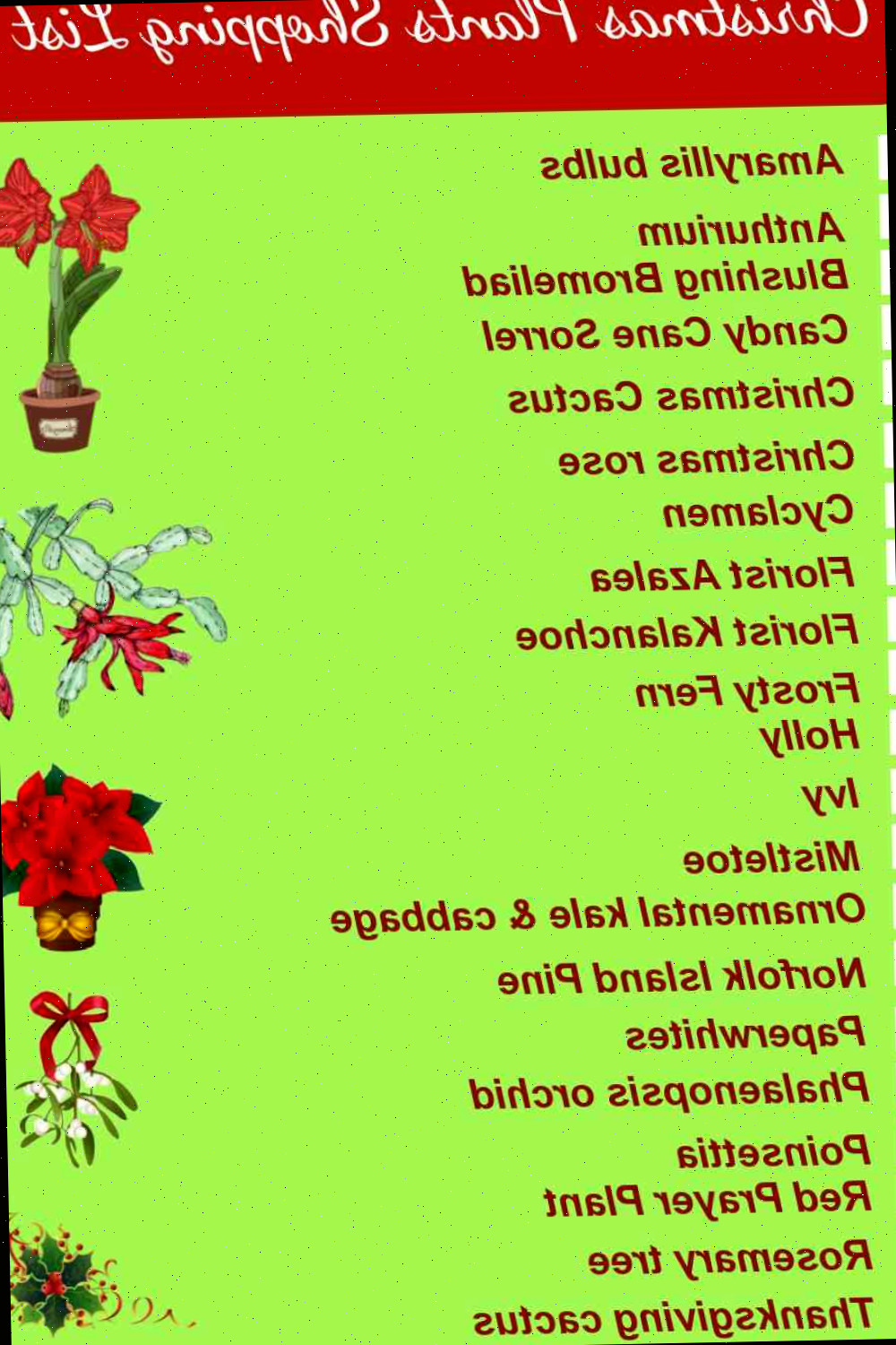 Lista de compras para plantas natalinas com nomes e caixas de seleção.