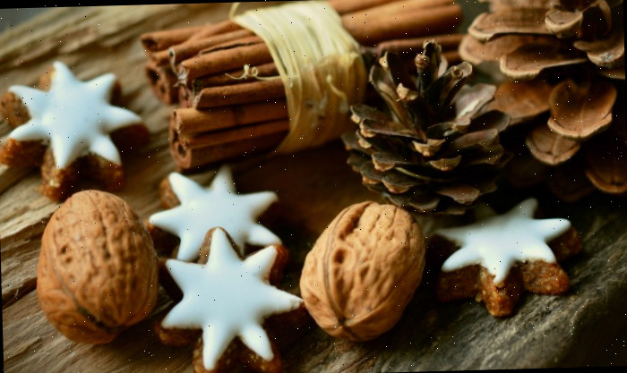 Mostra com canela, biscoito e pinha