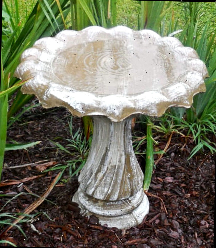 Água em um bebedouro de aves limpo Um bebedouro de aves de cimento limpo, repleto de água fresca, em um jardim cercado por folhas de íris e cobertura morta marrom.