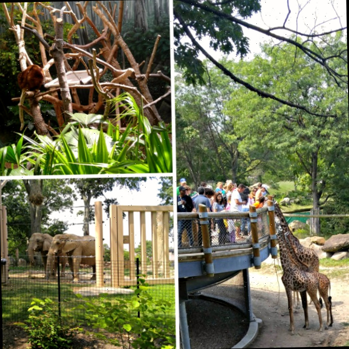 Zoológico de Cleveland