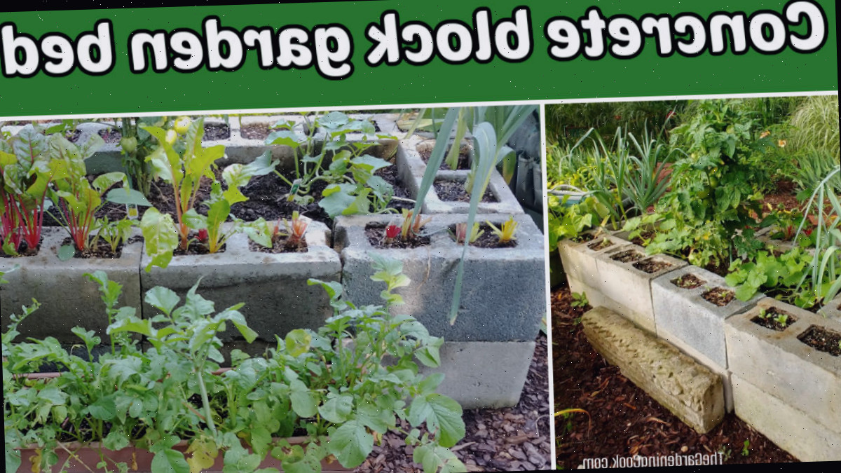 Imagens de uma cama de jardim de blocos de concreto usada para cultivar vegetais.