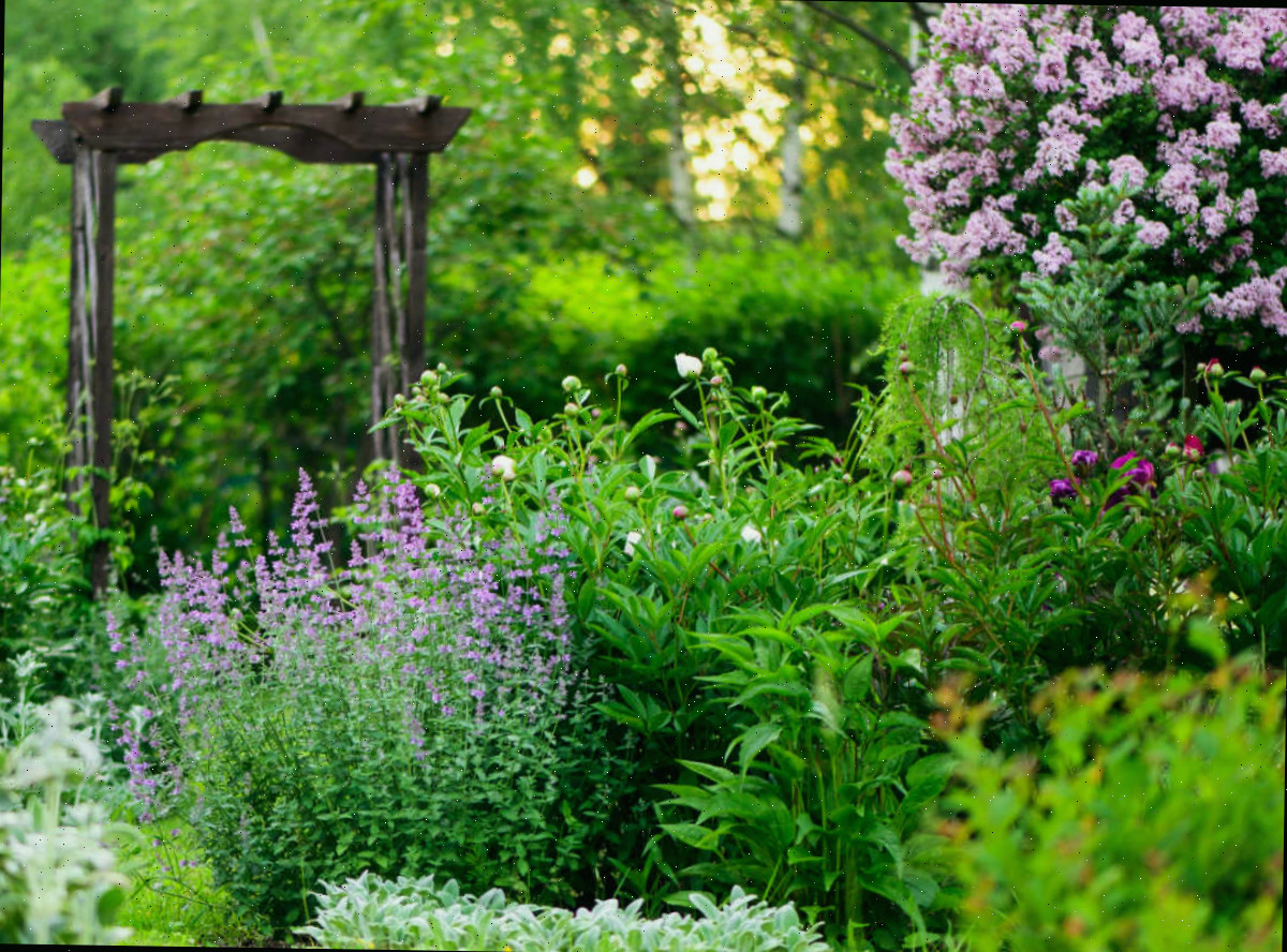 Um jardim de campo encantador com um arco ao fundo.
