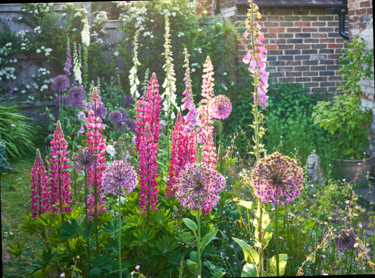 Flores de diversas alturas à frente de uma residência inglesa.