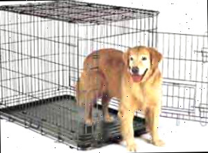 limpar gaiolas de animais de estimação com peróxido de hidrogênio