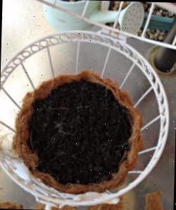 Gaiola aberta com terra em um revestimento de fibra de coco sobre uma mesa de pátio.