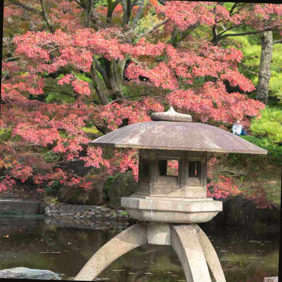Ideias para Jardim de Meditação - Criando um Espaço de Meditação no Quintal