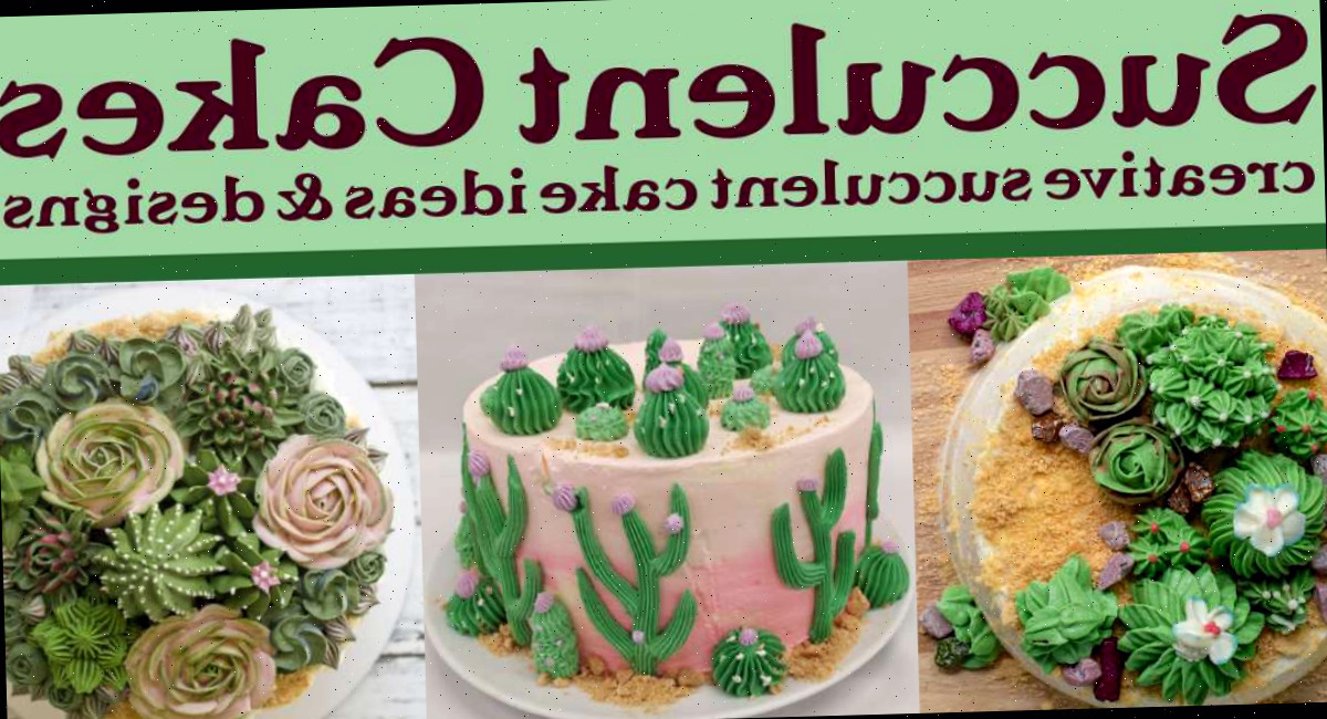 Colagem de bolos com suculentas Uma colagem de dois bolos com suculentas e um bolo de cacto, todos com suculentas de creme de manteiga aplicadas com bico, com uma sobreposição de texto acima dizendo bolos com suculentas, ideias criativas de bolos com suculentas e designs