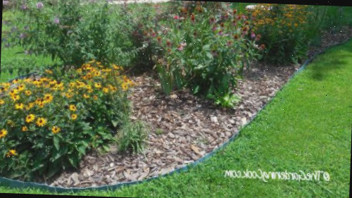 Um canteiro de flores com borda curva cercado por grama verde.