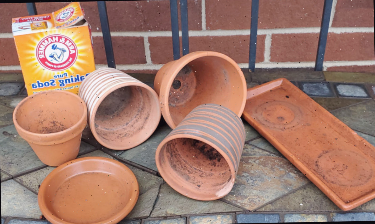 Vasos de barro encardidos sobre uma bancada de plantio de ardósia com uma caixa de bicarbonato de sódio para limpá-los.