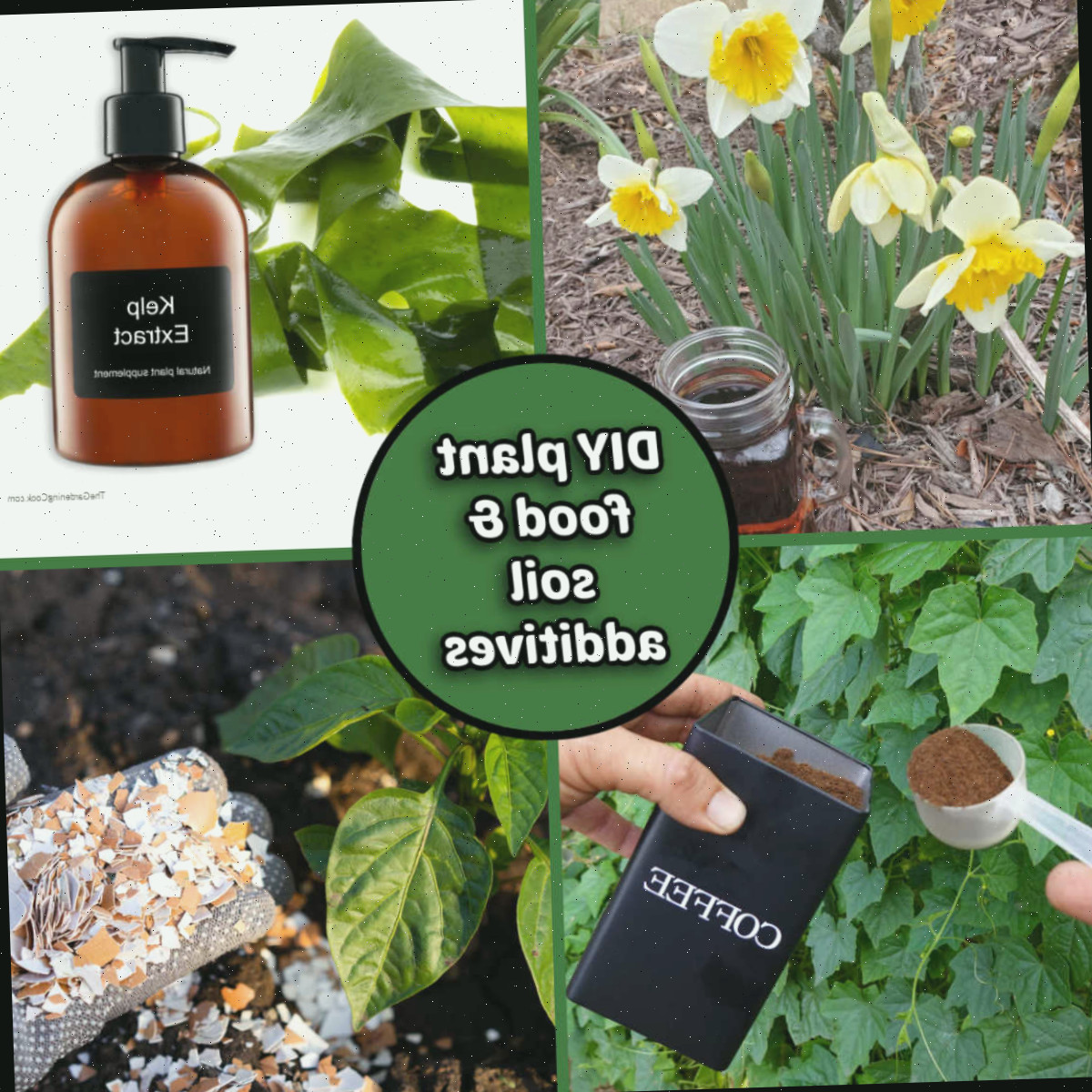 Fertilizantes Caseiros para Plantas