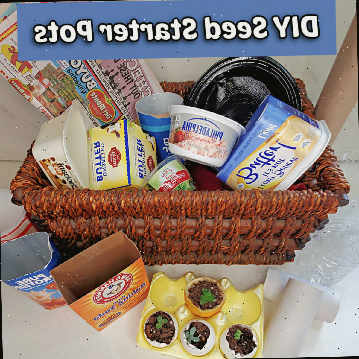 Uma cesta de vasos DIY para iniciar sementes, incluindo cascas de ovo, caixas de ovos, rolos de papel toalha, recipientes de iogurte e muito mais.