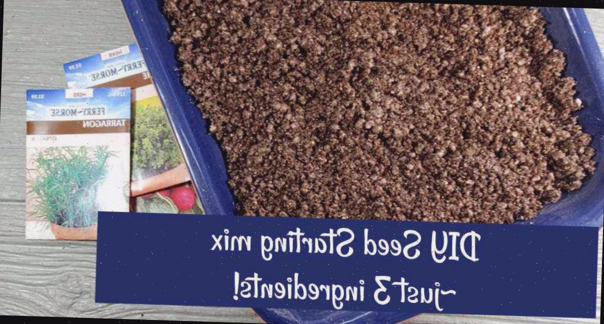 Mistura sem solo em uma bandeja esmaltada azul com o texto Mistura DIY para germinar sementes - somente 3 ingredientes.