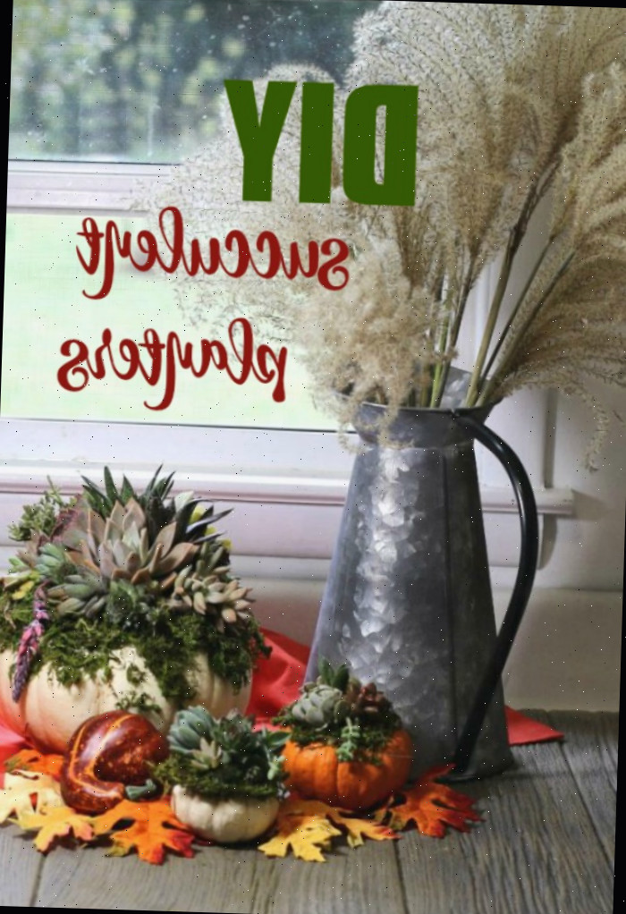 abóboras plantadas com suculentas perto de um vaso galvanizado contendo gramíneas prateadas com o texto Plantadores de suculentas DIY