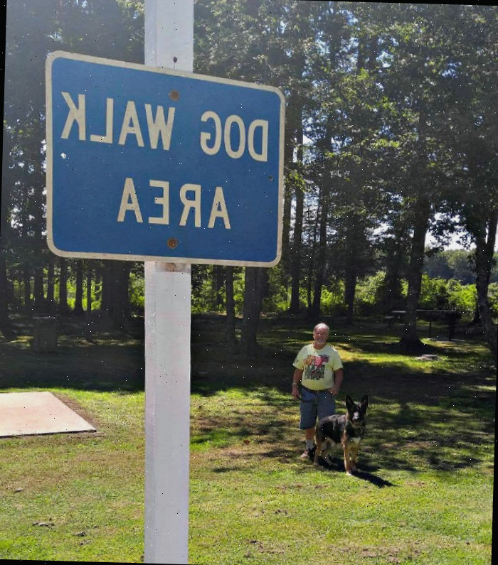 Passear com um cão o deixa mais calmo e libera sua energia
