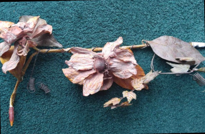 Caule de flor rústica Um caule floral rústico com flores secas em uma superfície verde.