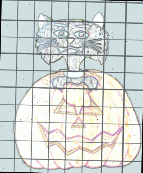 grade sobre gato e abóbora