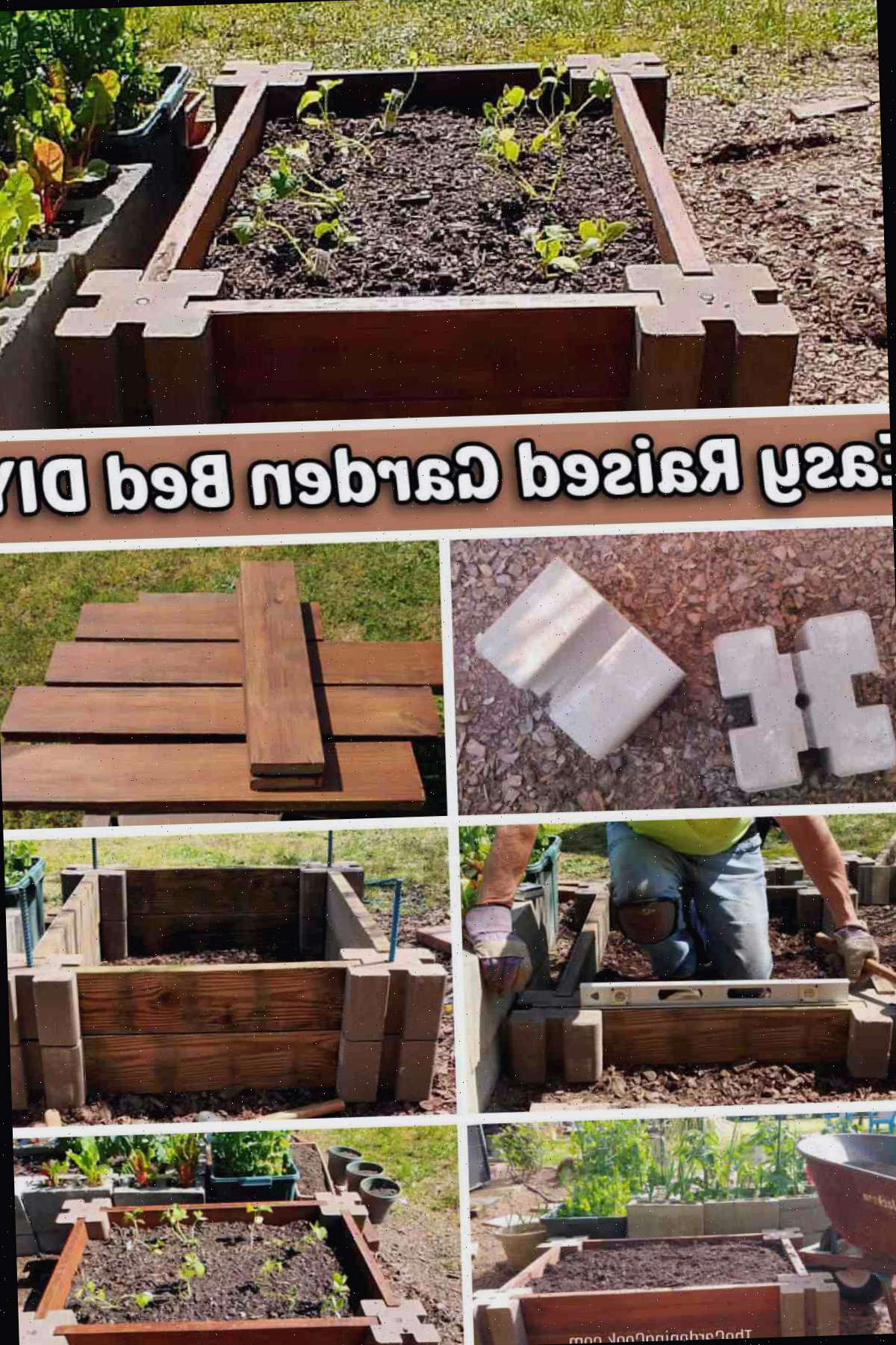 Passos como construir um projeto DIY de cama de jardim elevada fácil com blocos de cimento e tábuas de madeira.
