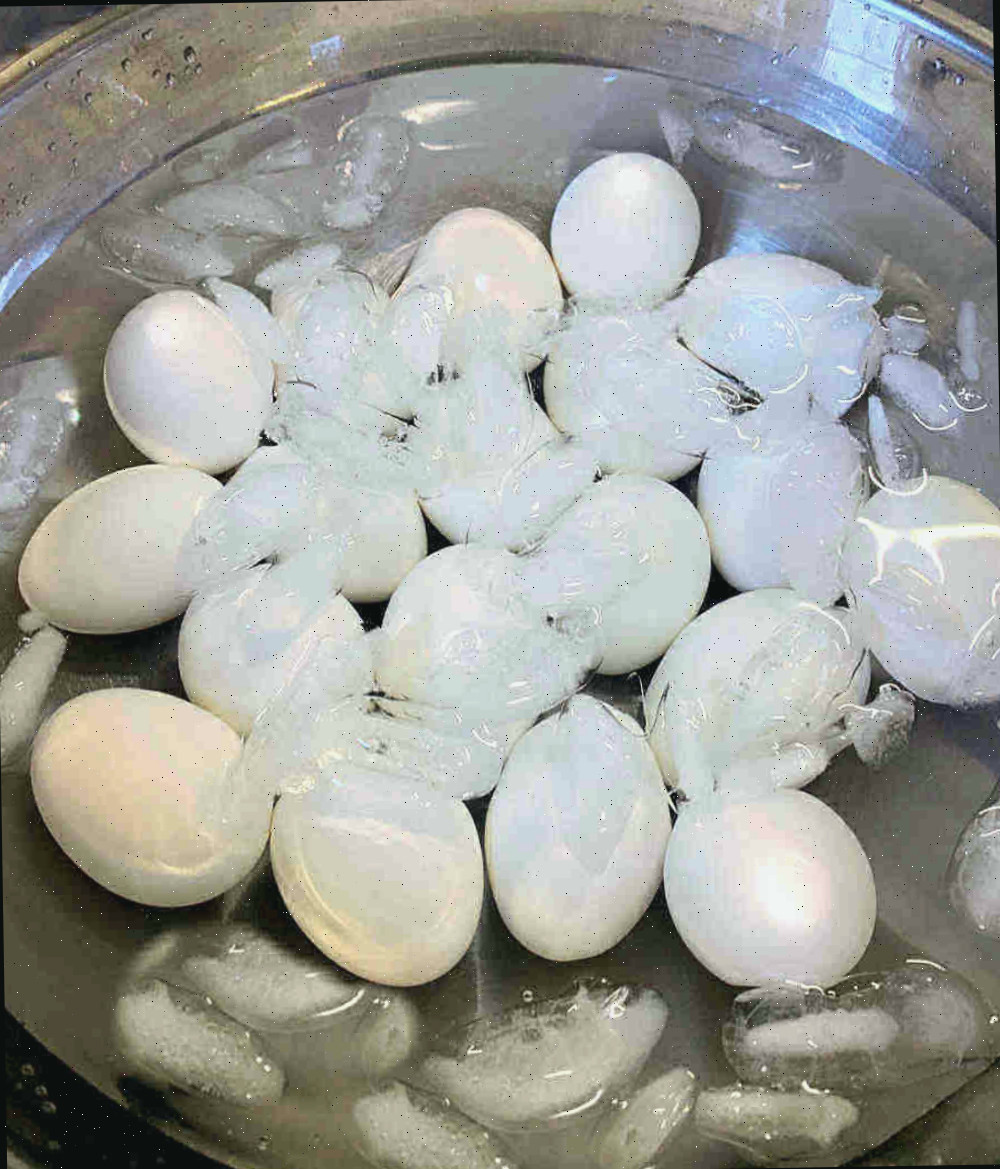 Hora de um banho de gelo. Ovos em uma tigela de água com gelo.