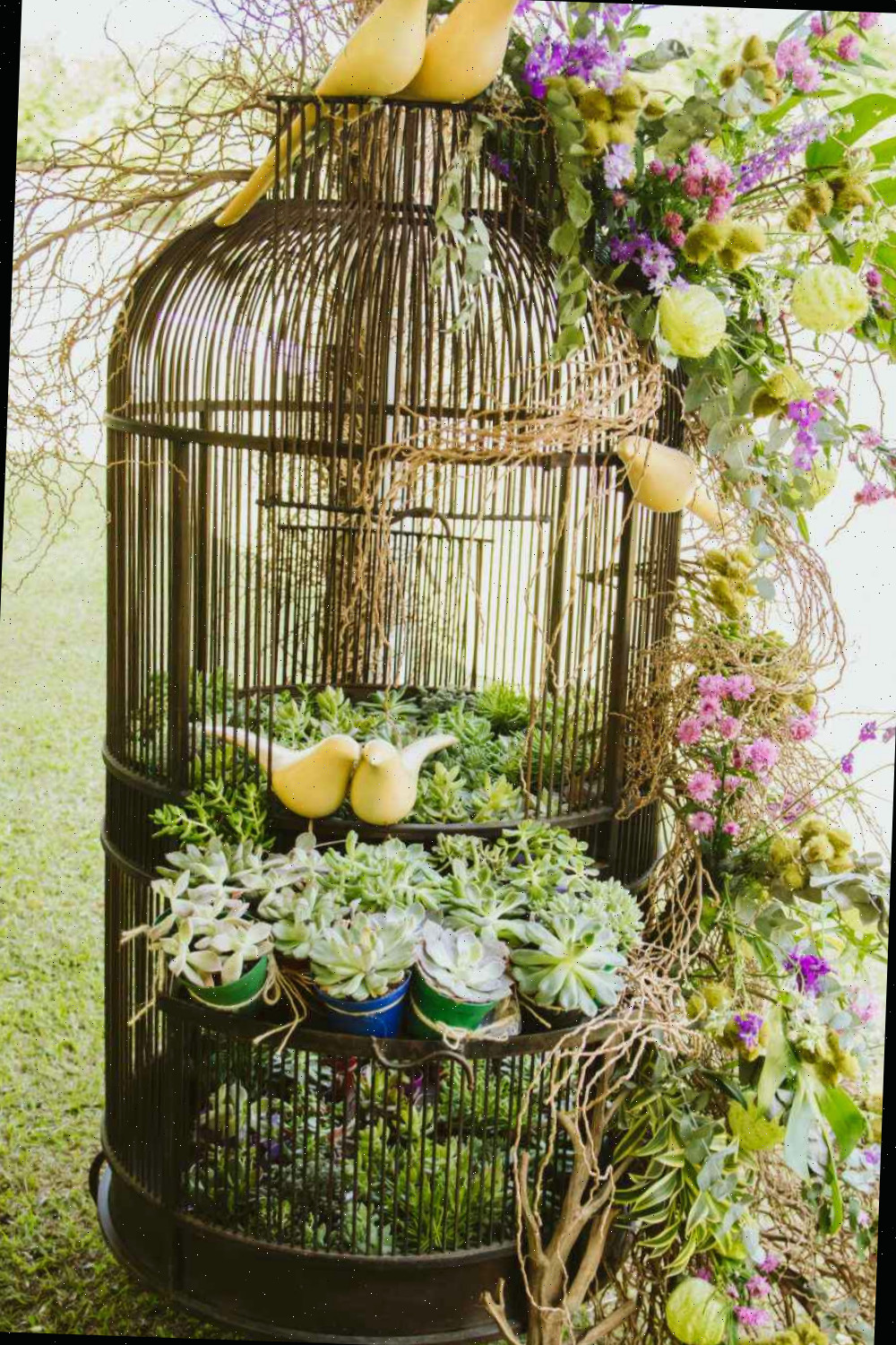 Exposição elaborada de gaiola de pássaro. Arranjo elaborado em uma gaiola de pássaro com pássaros, suculentas e folhas e flores de seda.