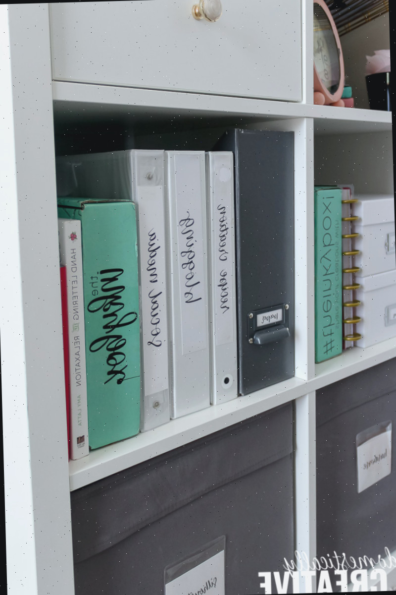 Revelação de Escritório Feminino