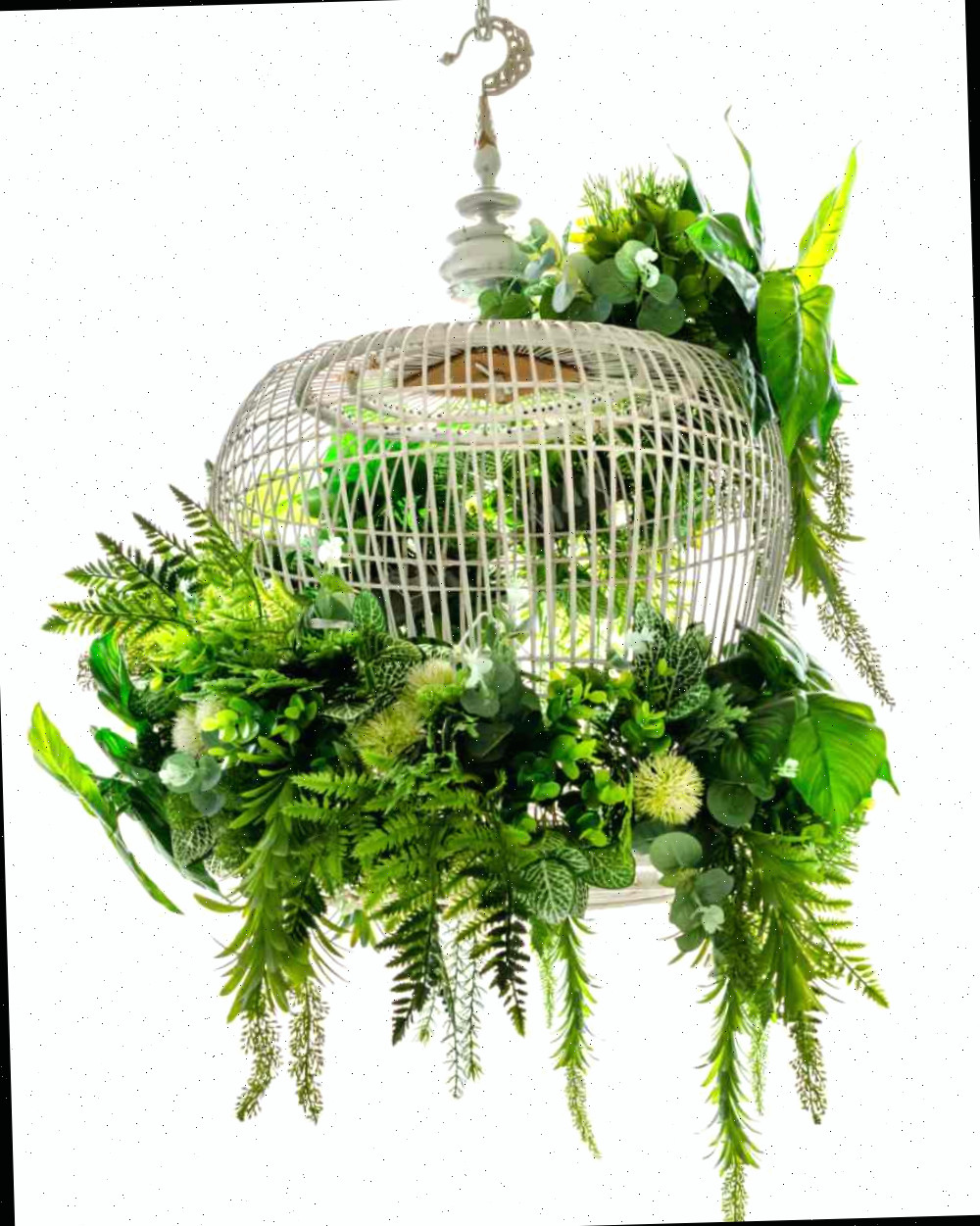 Recipiente de gaiola de pássaro com folhas pendentes.