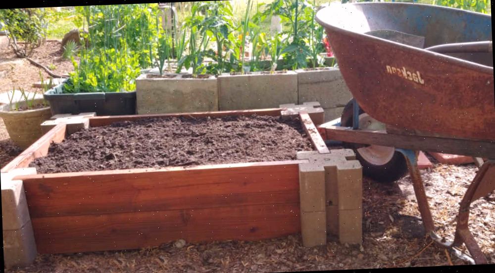 Solo de jardim em uma cama elevada. Um carrinho de mão e uma pá ao lado de uma cama de jardim fácil já preenchida com solo.