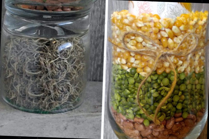 Adicione um laço e um pouco de musgo Incluindo um laço de juta e uma base de musgo