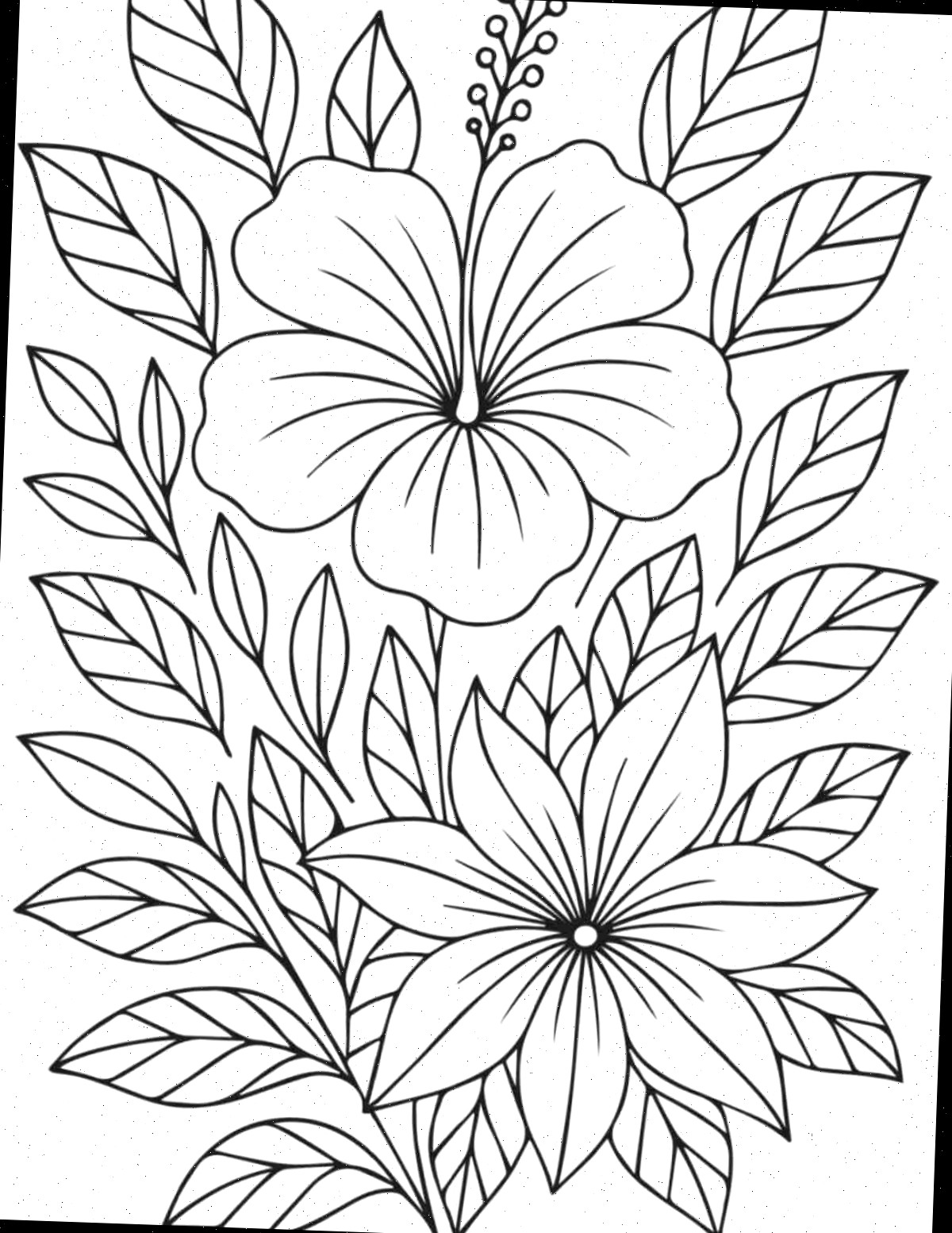 Folhas para colorir de flores grátis para imprimir Uma folha para colorir de flores com duas flores tropicais de hibisco e foliagens no centro da folha.