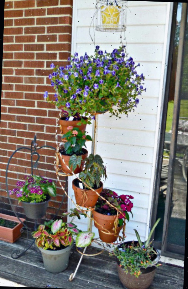 Florescer plantas em um suporte em degraus para atrair polinizadores para uma horta na varanda.