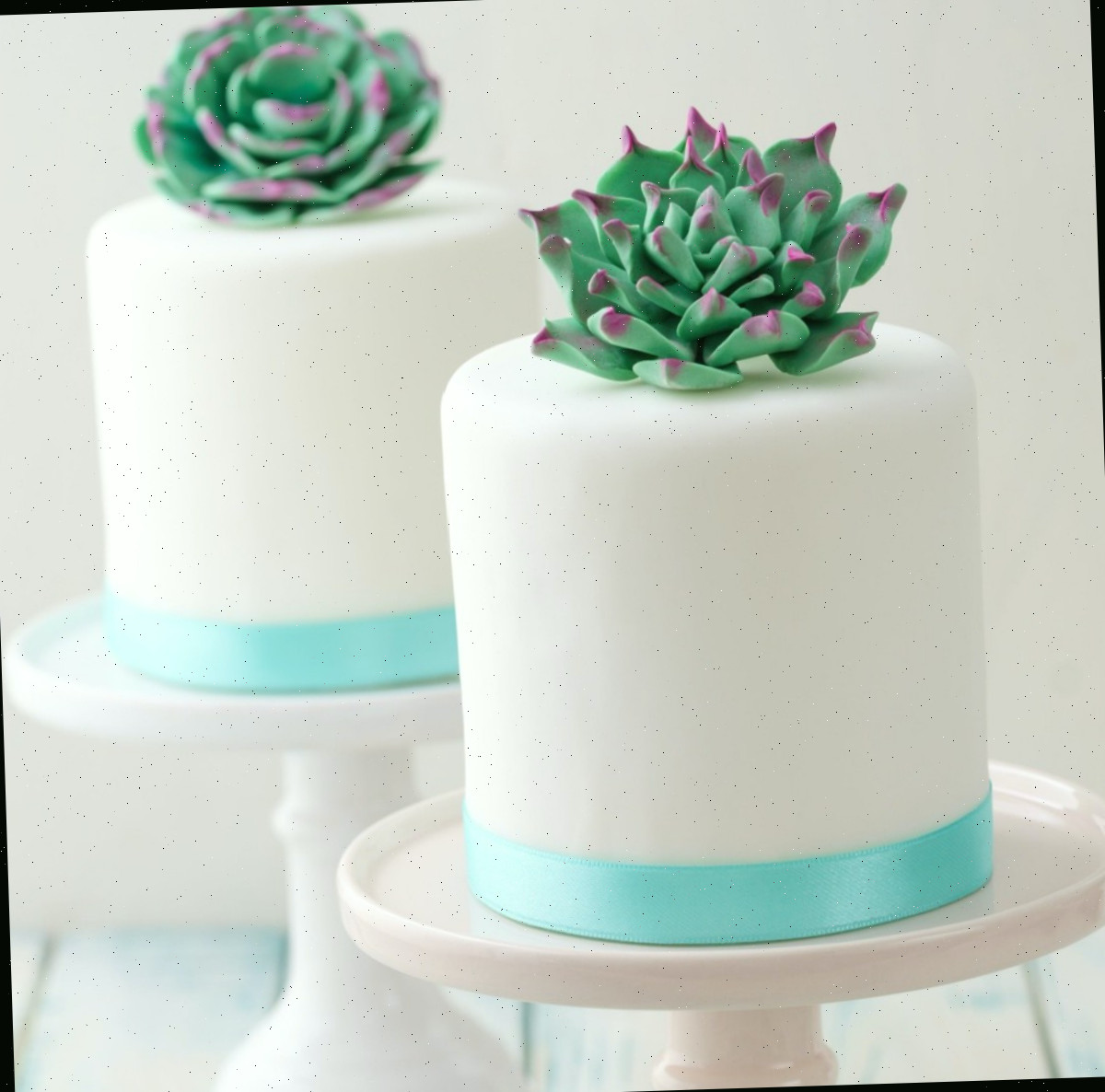 Dois bolos com suculentas Dois pequenos bolos brancos de uma camada com suculentas, cada um em seu próprio suporte, com uma fita verde menta contornando a base e suculentas de fondant e pasta de goma no topo dos bolos.