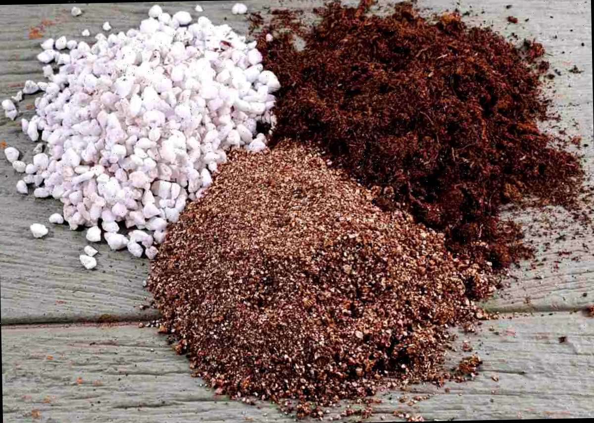 Turfa, perlita e vermiculita em pequenos montes sobre uma bancada de madeira usados para a propagação de forsítia.