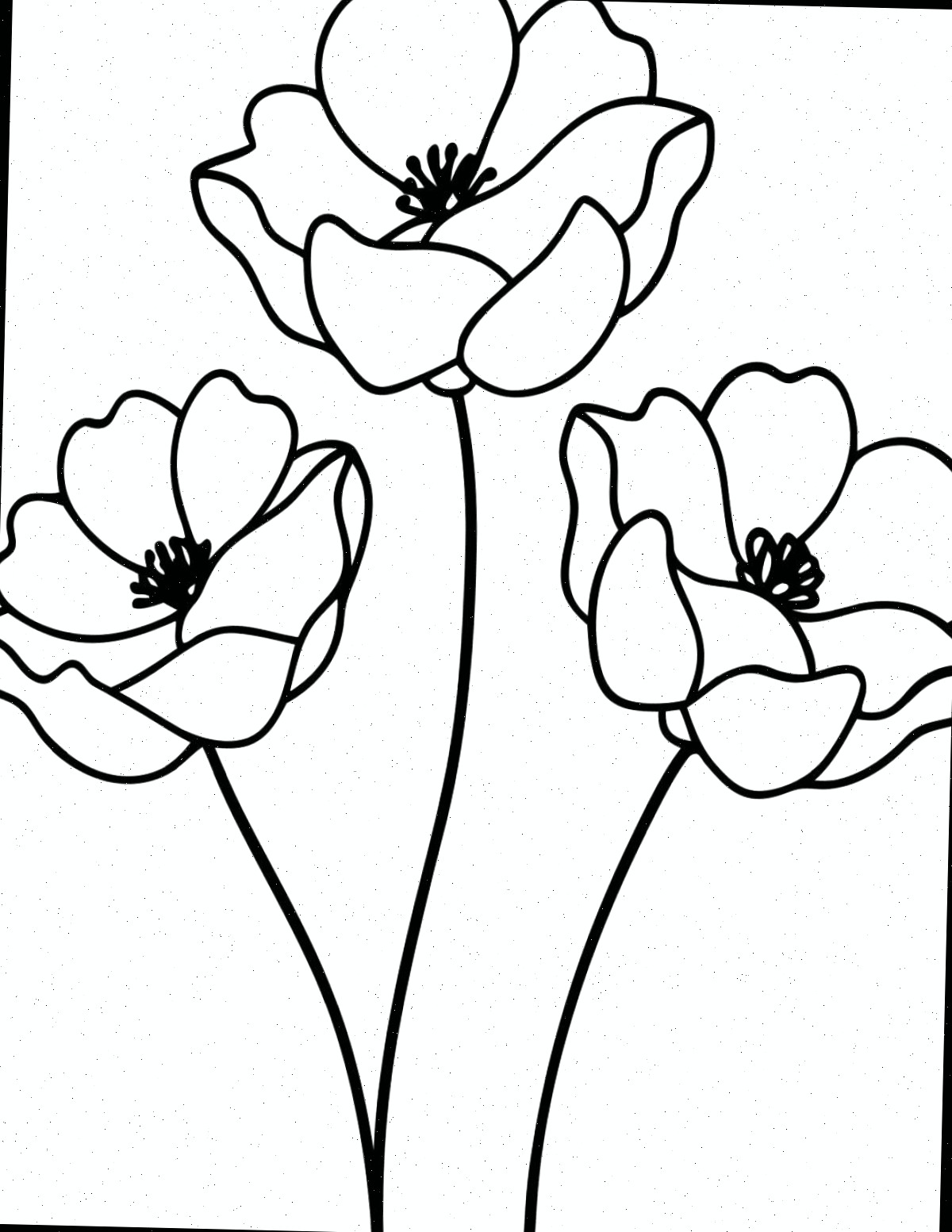 Página para colorir papoulas grátis para impressão Uma folha para colorir papoulas grátis para impressão que apresenta três hastes de flores de papoula centralizadas na folha para colorir.