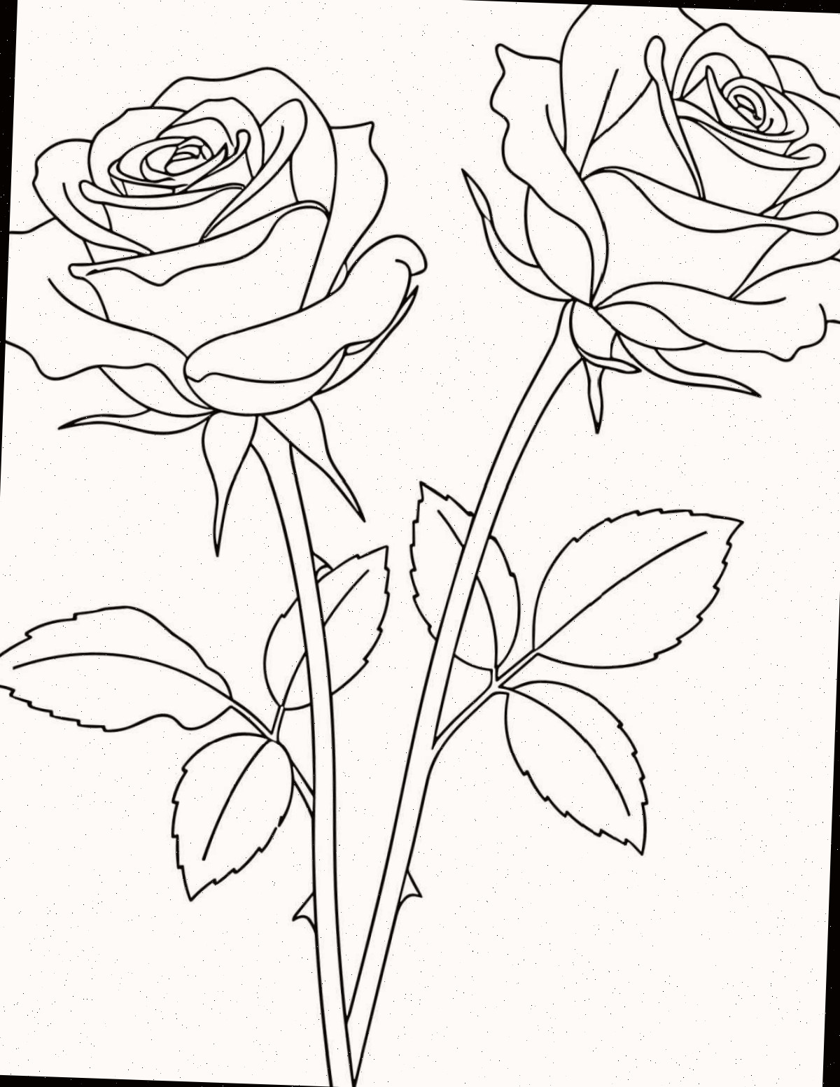 Páginas para colorir rosas grátis para imprimir Uma folha gratuita para colorir rosas para imprimir com duas hastes de rosas com folhas no centro da pagina para colorir.