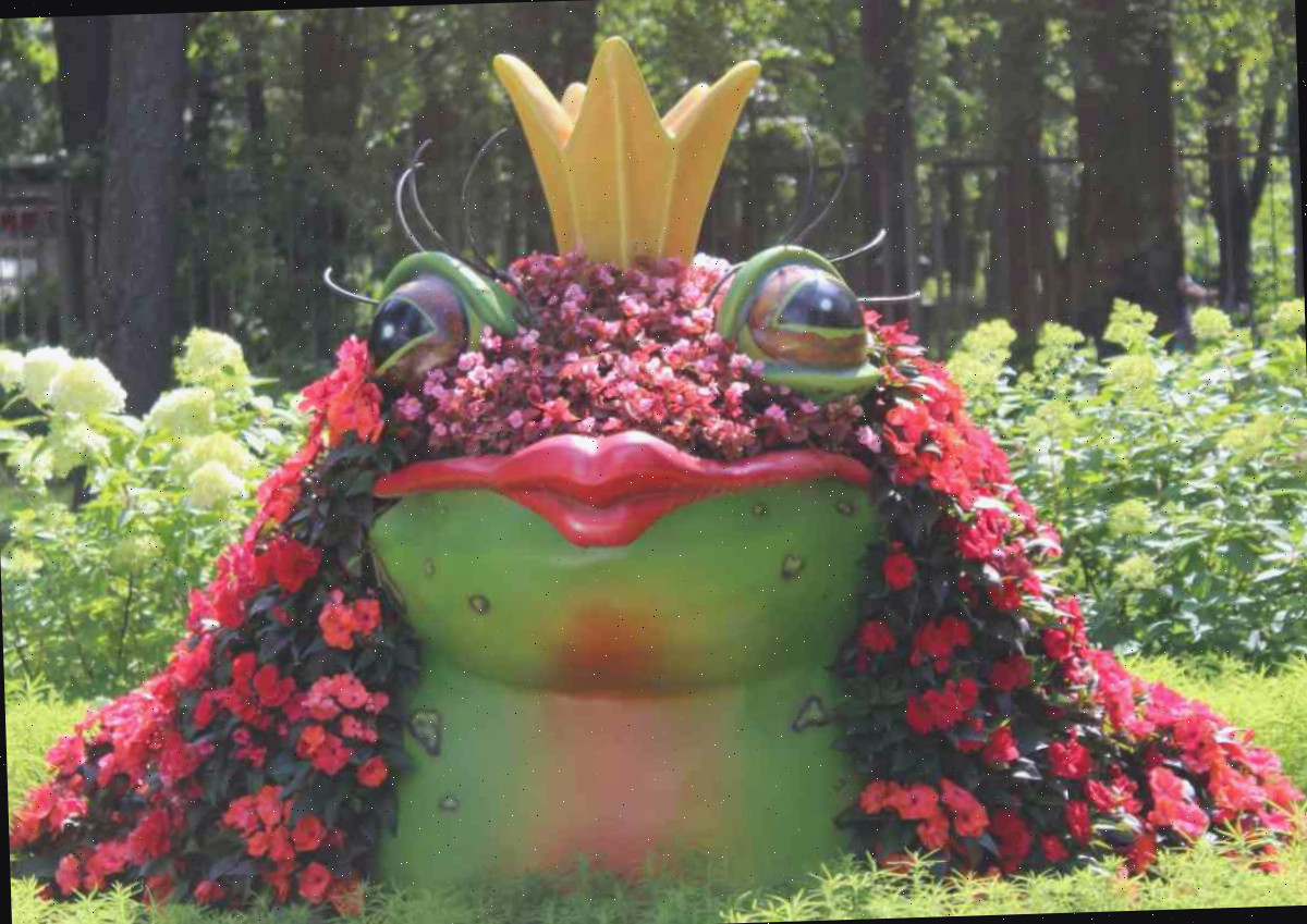 A princesa sapo