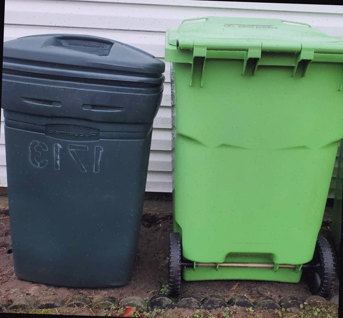 Dois lixeiros verdes utilizados para coletar resíduos do jardim.
